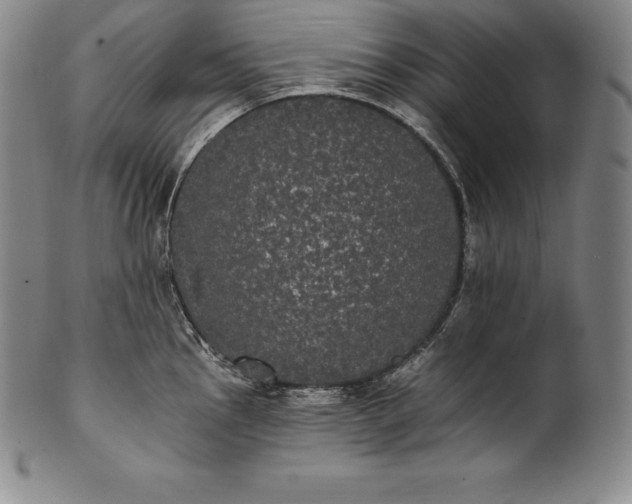 X0000102241145200808081430