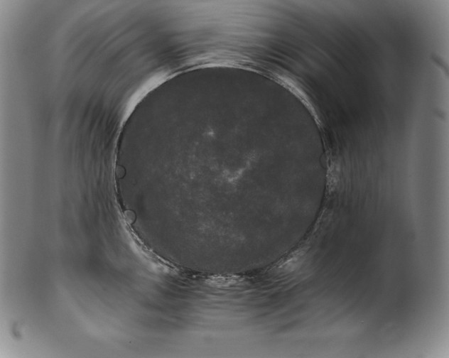 X0000102241146200808081430