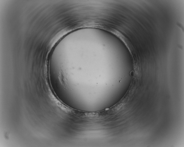 X0000102241147200808081430