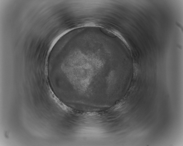 X0000102241148200808081430