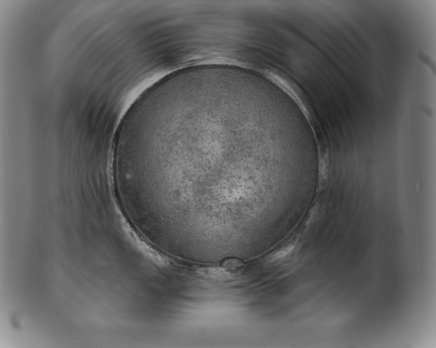 X0000102241149200808081430