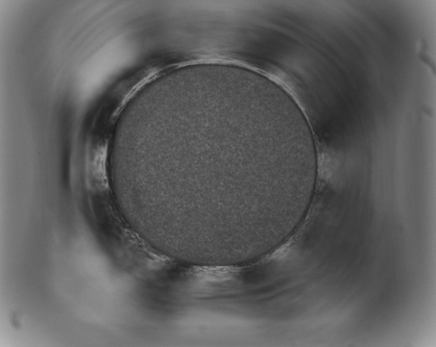 X0000102241150200808081430