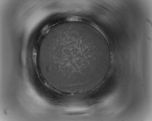 X0000102241151200808081430