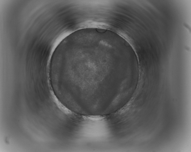 X0000102241152200808081430