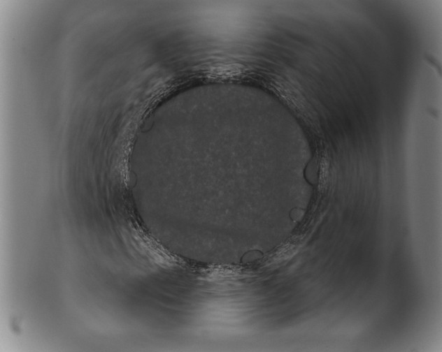 X0000102241153200808081429