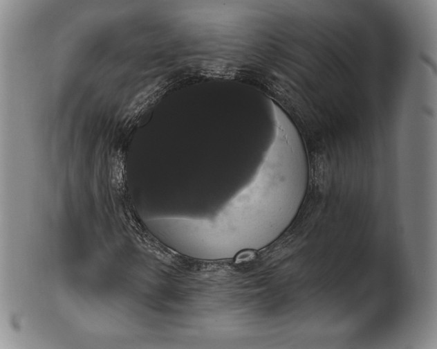 X0000102241154200808081429