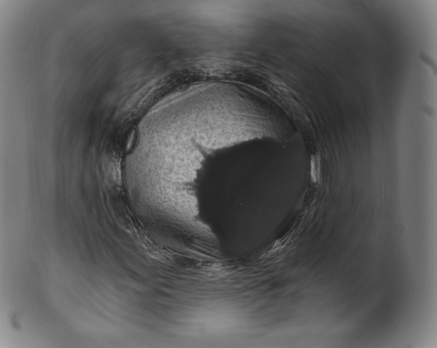 X0000102241155200808081429