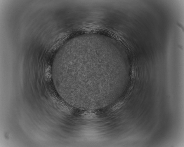 X0000102241156200808081429