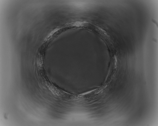 X0000102241158200808081429