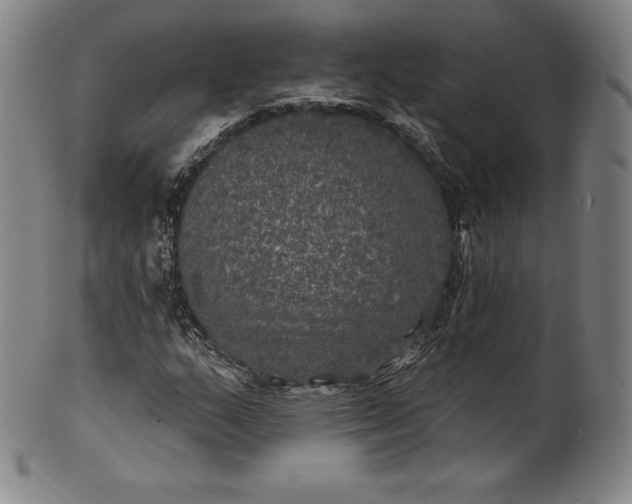 X0000102241159200808081429