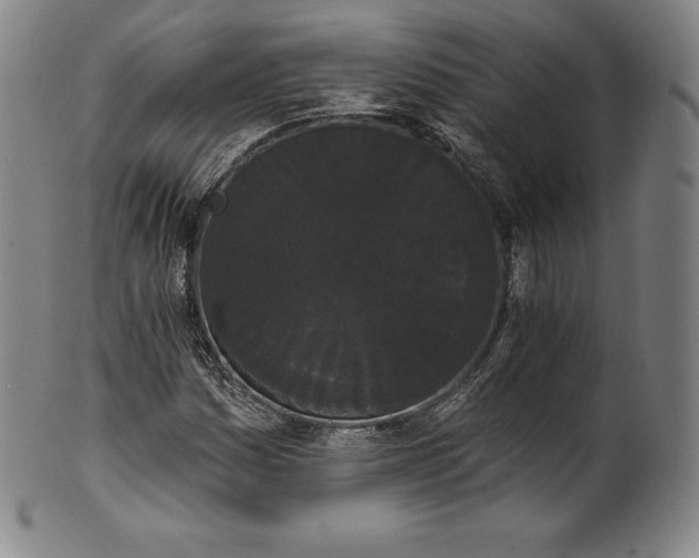 X0000102241161200808081429