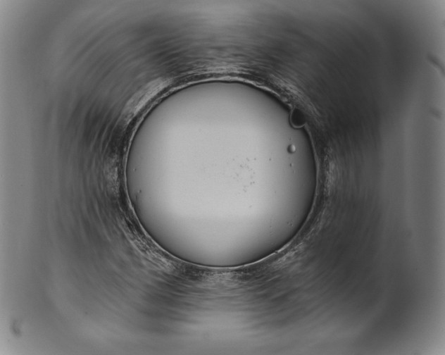 X0000102241162200808081429