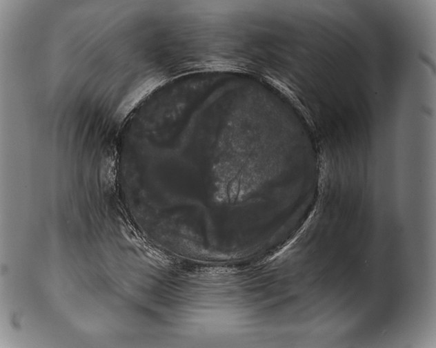 X0000102241163200808081429