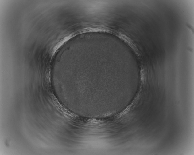 X0000102241165200808081429