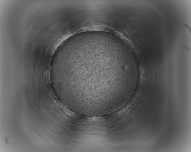 X0000102241166200808081429