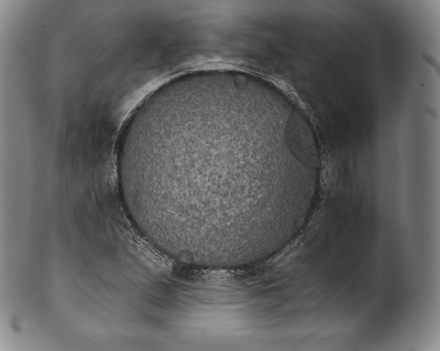 X0000102241167200808081429