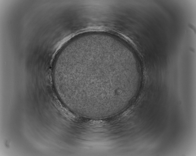 X0000102241168200808081429