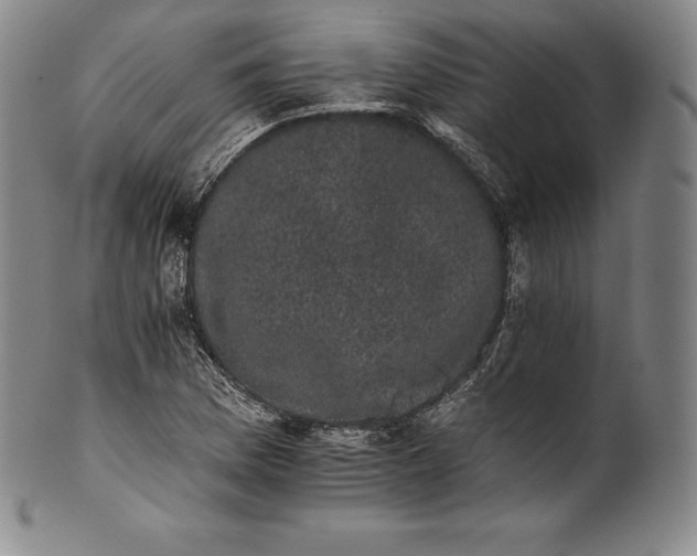 X0000102241169200808081429