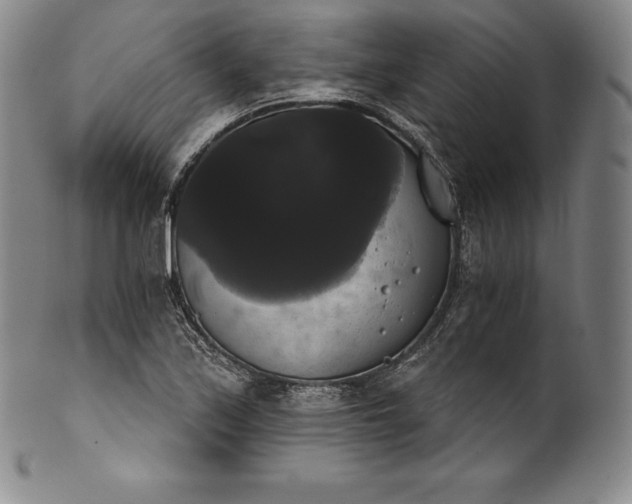 X0000102241171200808081429