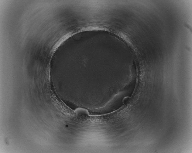 X0000102241173200808081429