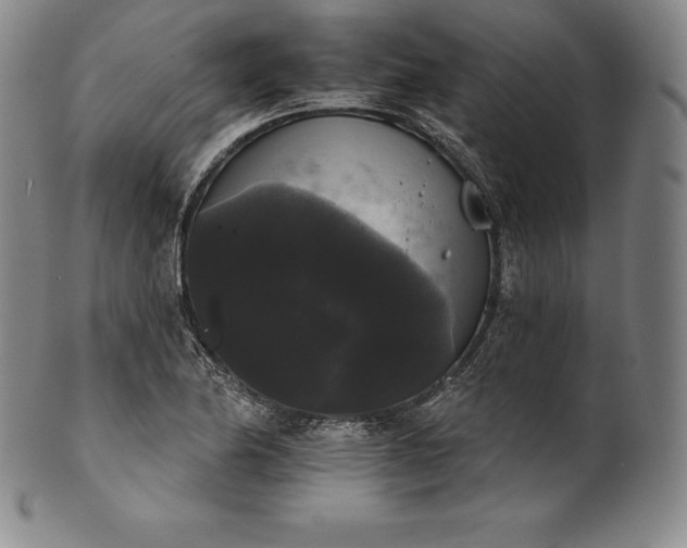 X0000102241174200808081429