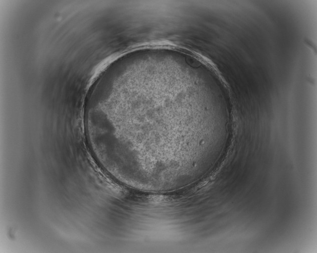 X0000102241176200808081429