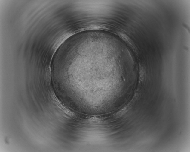 X0000102241178200808081429