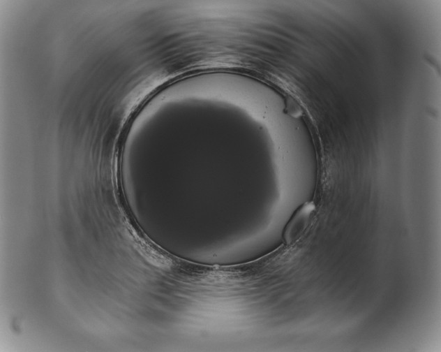 X0000102241179200808081429