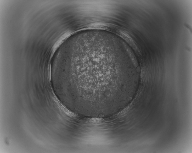 X0000102241180200808081429