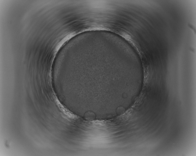 X0000102241181200808081429