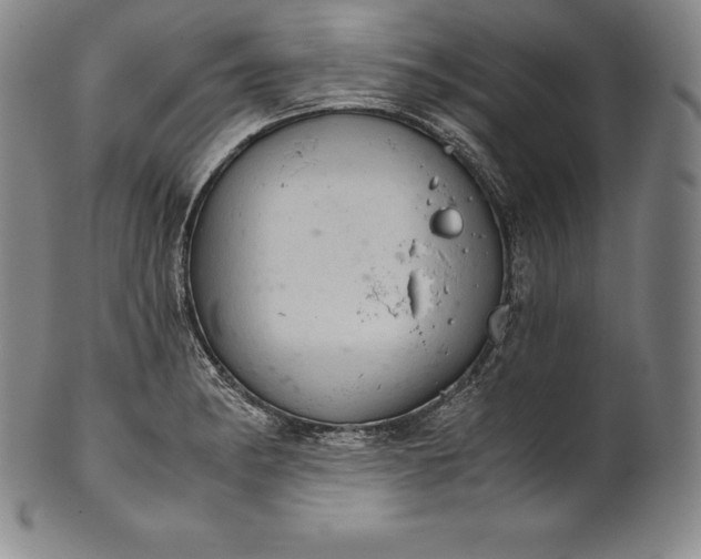 X0000102241182200808081429