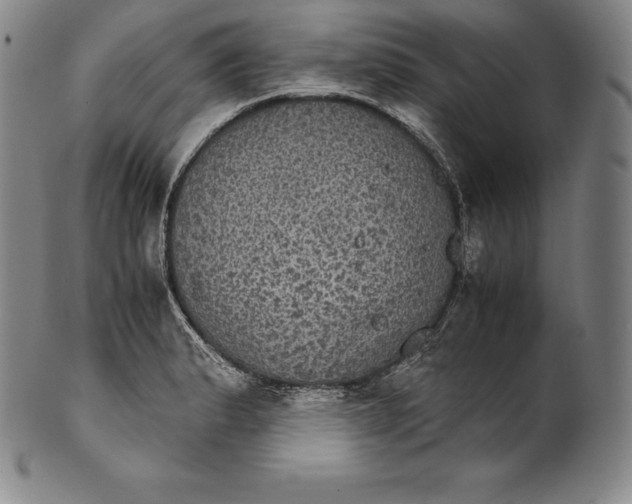 X0000102241183200808081429