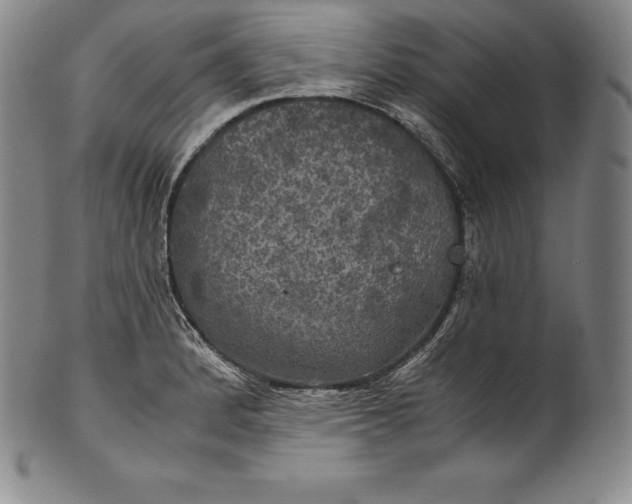 X0000102241184200808081429