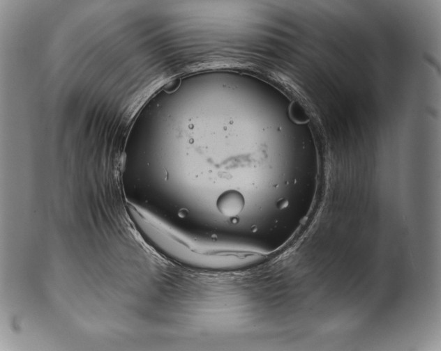 X0000102241185200808081429