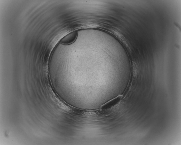 X0000102241186200808081429