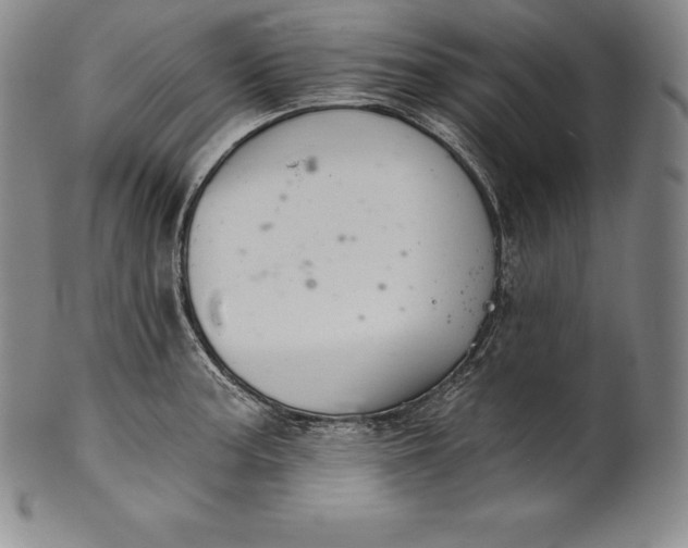 X0000102241187200808081429