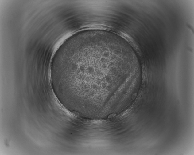 X0000102241188200808081429