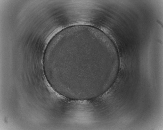 X0000102241189200808081429