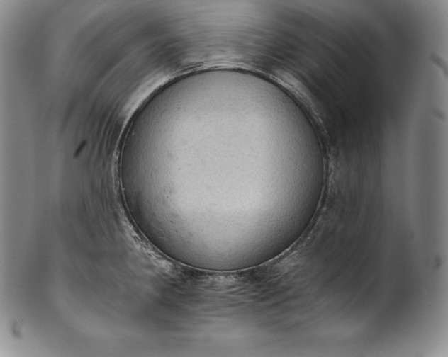 X0000102241190200808081429