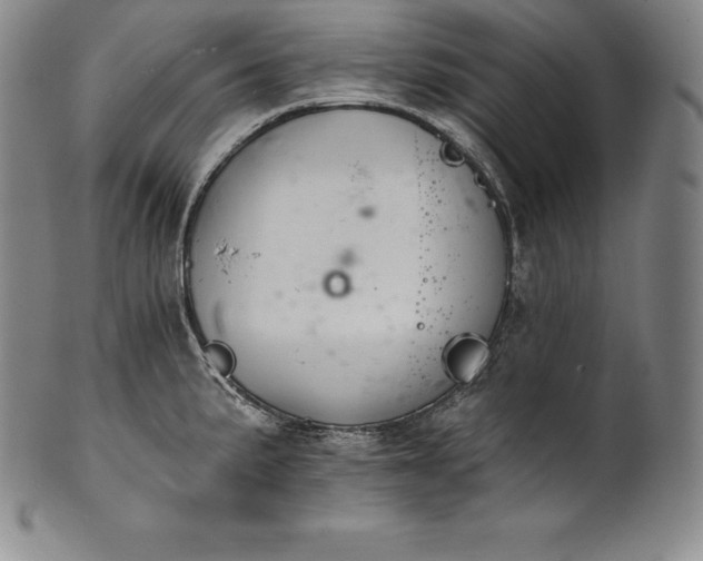 X0000102241191200808081429