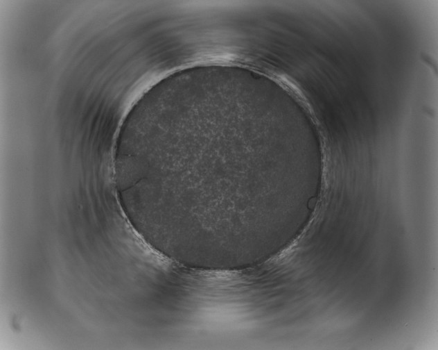 X0000102241192200808081428