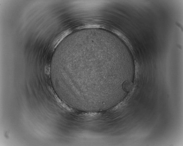 X0000102241193200808081428