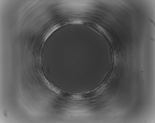 X0000102241194200808081428