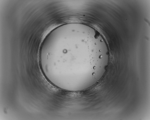 X0000102241195200808081428