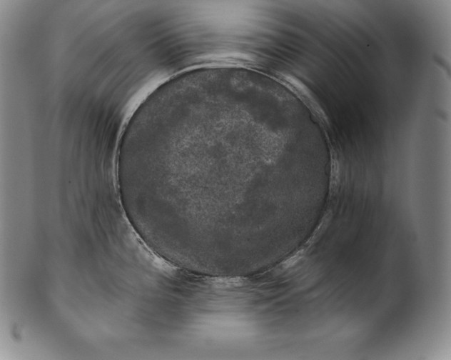 X0000102241196200808081428