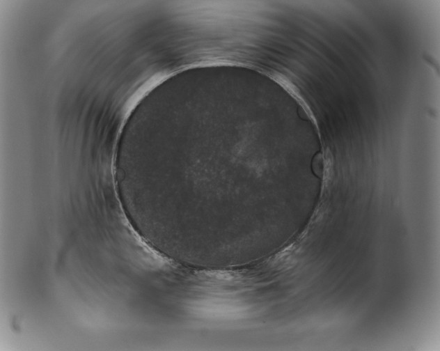 X0000102241197200808081428