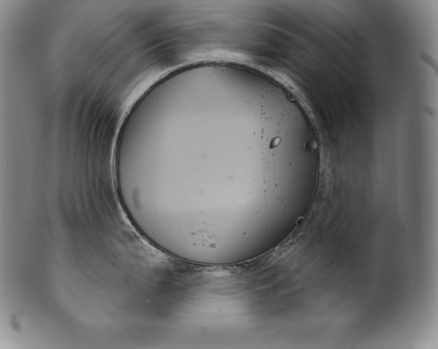 X0000102241199200808081428