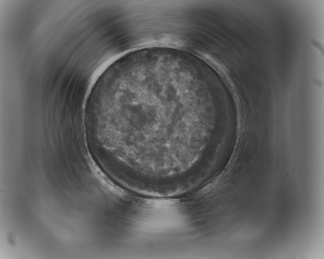 X0000102241200200808081428