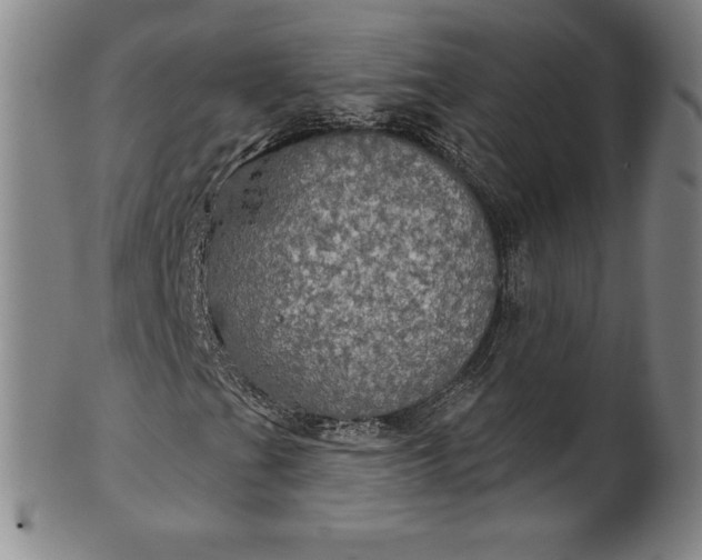 X0000102241201200808081428