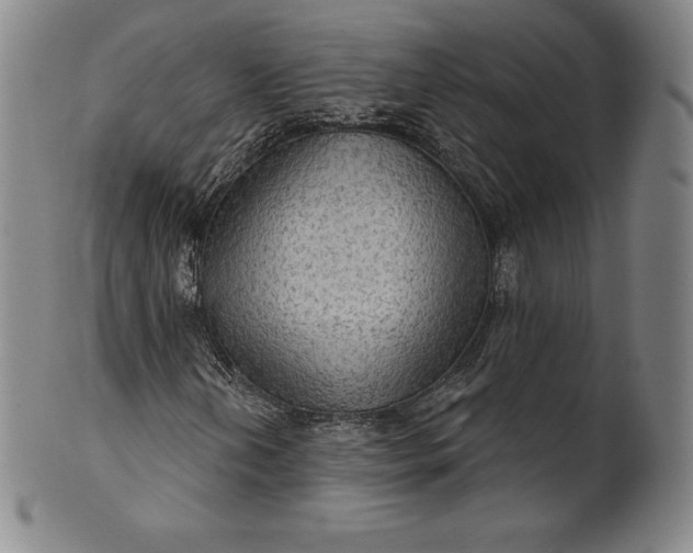 X0000102241202200808081428